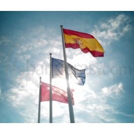 Mástil Aluminio Institucional