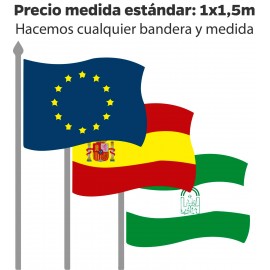 Banderas de España institucionales
